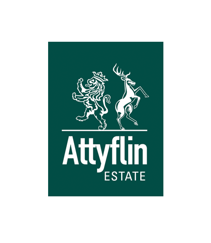 b_attyflin_logo_design